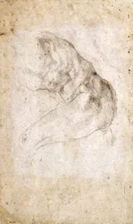Study for The Creation of Adam (czarna kreda na papierze) (verso) (odbytnicy patrz 191766)